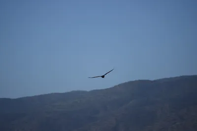 DSC_6840 (Large).JPG